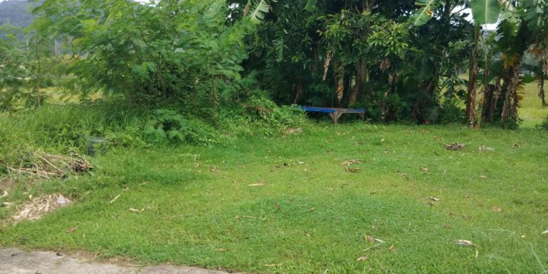 received_10211660735904799