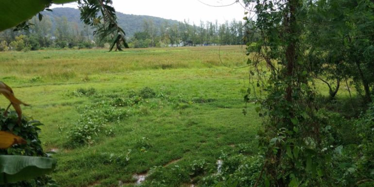 received_10211660736144805