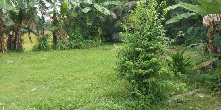 received_10211660736424812