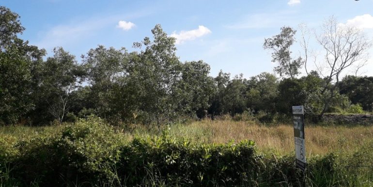 20170128_162204_resized-1024x768