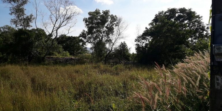 20170128_162217_resized-1024x768