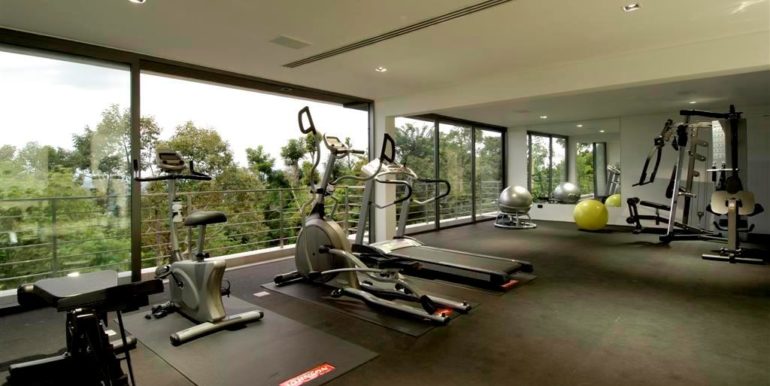 ZI fitness 1 (Custom)