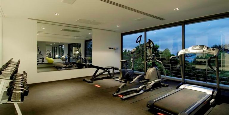 ZJ fitness 2 (Custom)