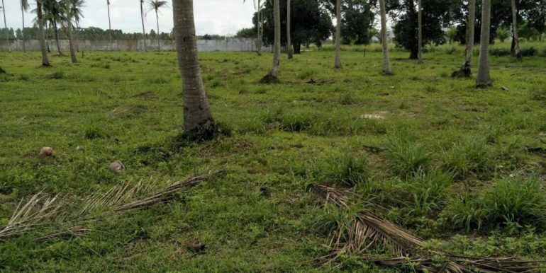 Natia Beach Beachfron (4)