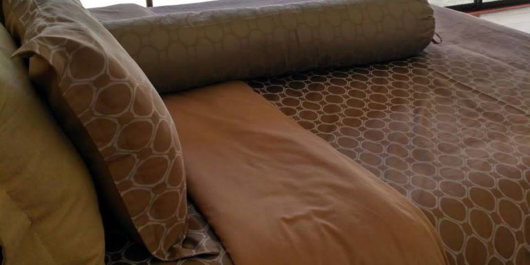 Pasak - 3 Br-Cherngtalay (TSP-3314) (6)