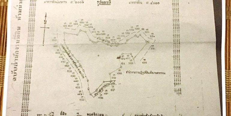 Land - 36 Rai Kamala Chanote (4)