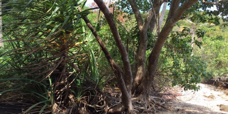 Island Ko Chong Lat Noi (3)