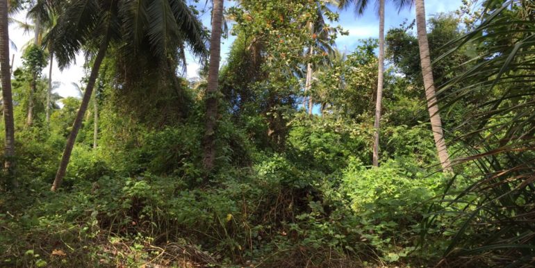 Island Ko Chong Lat Noi (5)