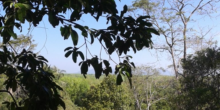 Land - 7 Rai Mai Khao (1)