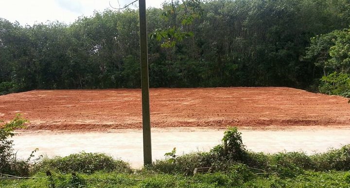 Land 1.3 Rai Naithon (3)