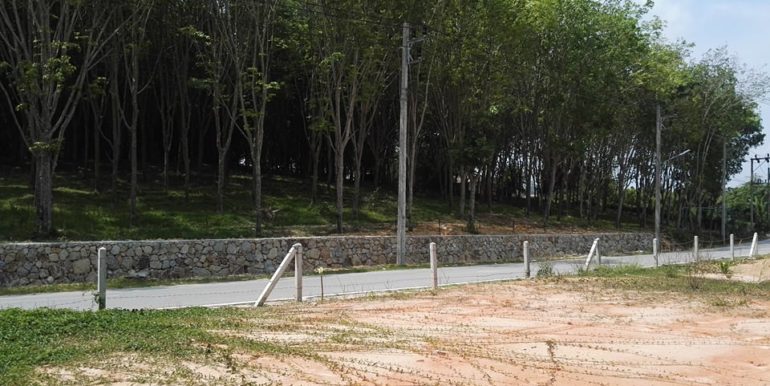 Land 1.3 Rai Naithon (4)