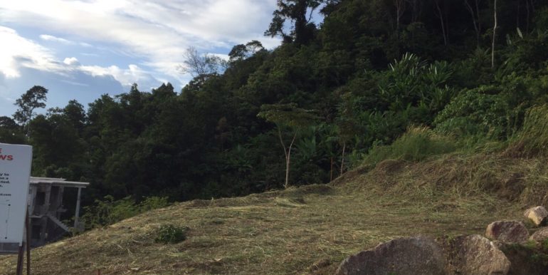 797 sqm Ocean View (6)