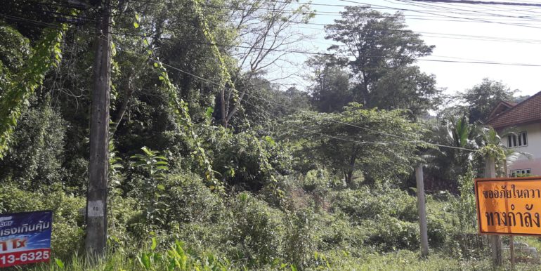 Land - 19 Rai Kamala (1)