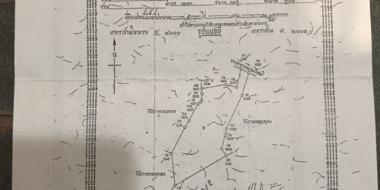 Land - 19 Rai Kamala (10)