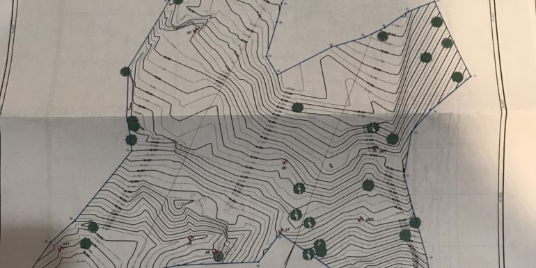 Land - 19 Rai Kamala (8)