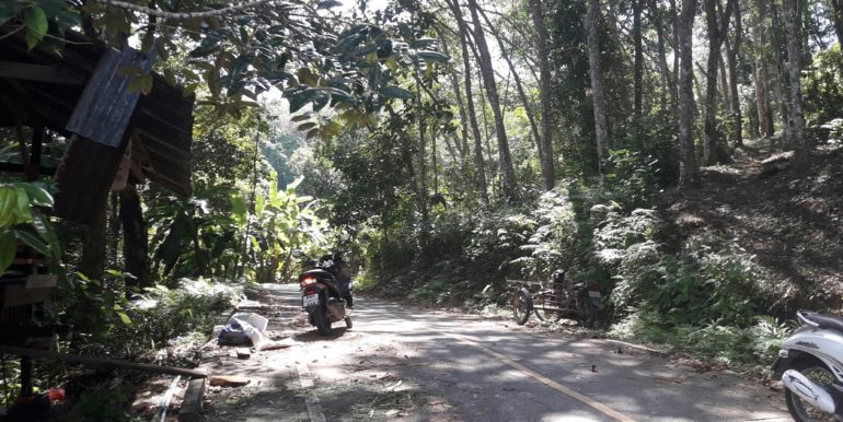 Land - 3 Rai Bangtao Ocean View (1)